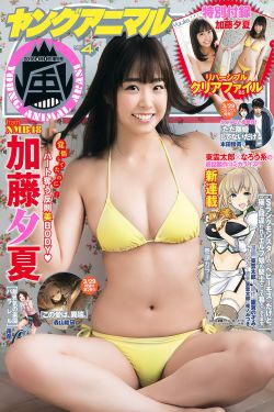 施工奇案