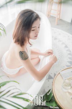 我的人间烟火电视剧免费观看