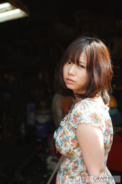 山寨小萌主在线观看