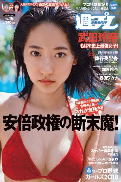 徘徊者
