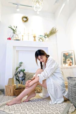 公安局长3
