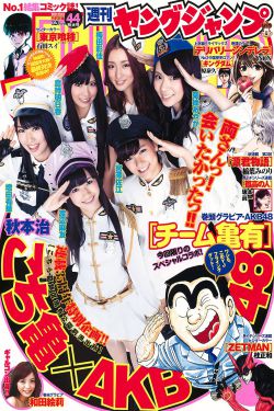 电视剧一仆二主在线观看
