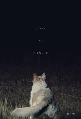 黑夜造訪[電影解說(shuō)]